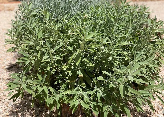 Dar Minel- Deine Wohlfuehloase Mit Garten Und Sonnenterasse