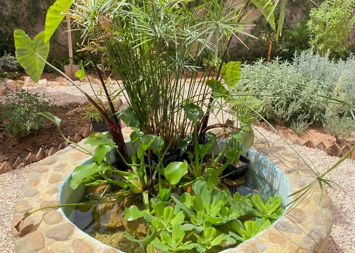 Dar Minel- Deine Wohlfuehloase Mit Garten Und Sonnenterasse
