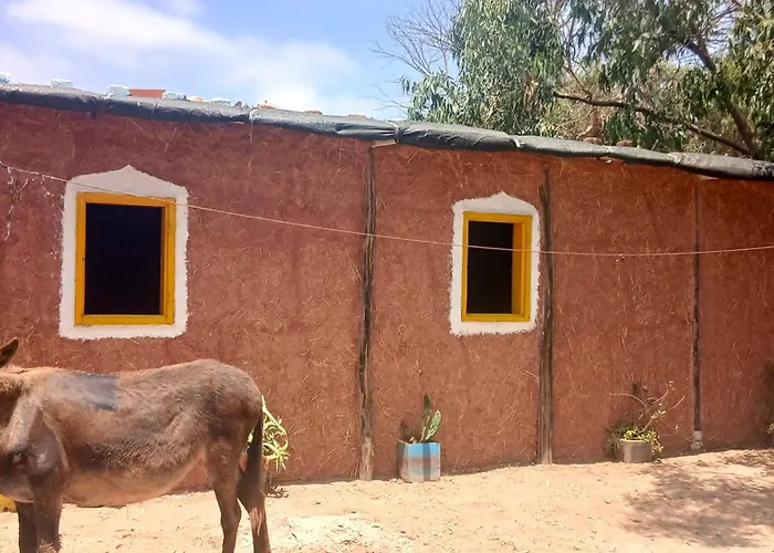 Traditional Berber Eco Farm Stay